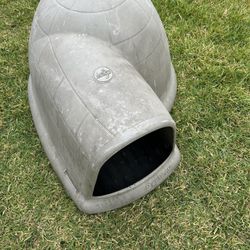Dog House 