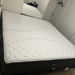 Beauty Rest King Size 4 Years Old