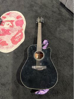 G Series takamine