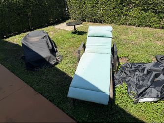 2 lounge chairs