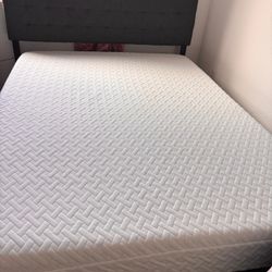 Queen Bed Frame And Medium Firm Foam Mattress