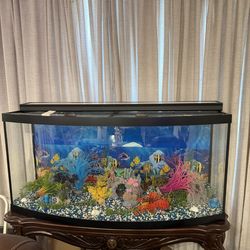 Decorative fish tank