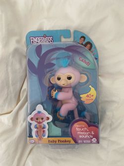 Toy