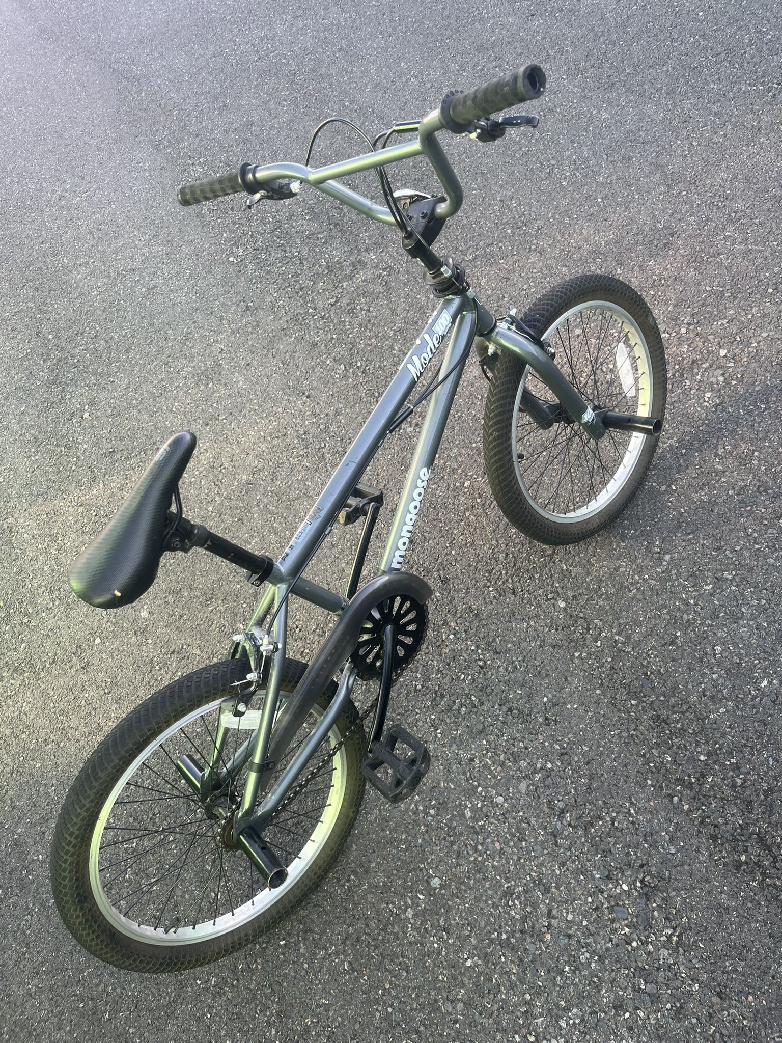 Mongoose