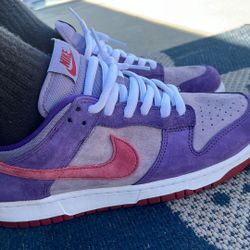 9.5 Men Ugly Duckling Dunks