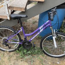 Road master mountain Bike