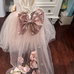 Beautiful Little Girl Dress 