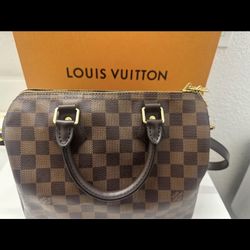 Louis Vuitton Speedy 25 Bag 