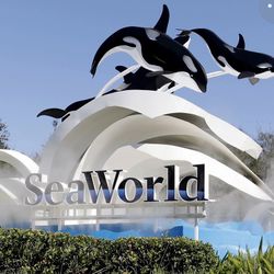 I Have 6 Tickets That Will Expire At The End Of The Month