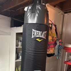 Everlast Heavy Punching Bag 