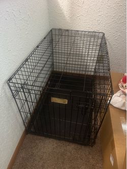 2 dog kennels
