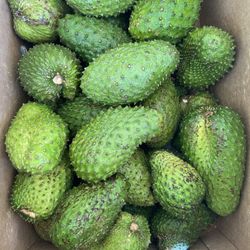 Sour Sop / Guanabana 