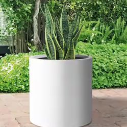 10” White Ceramic Planter,