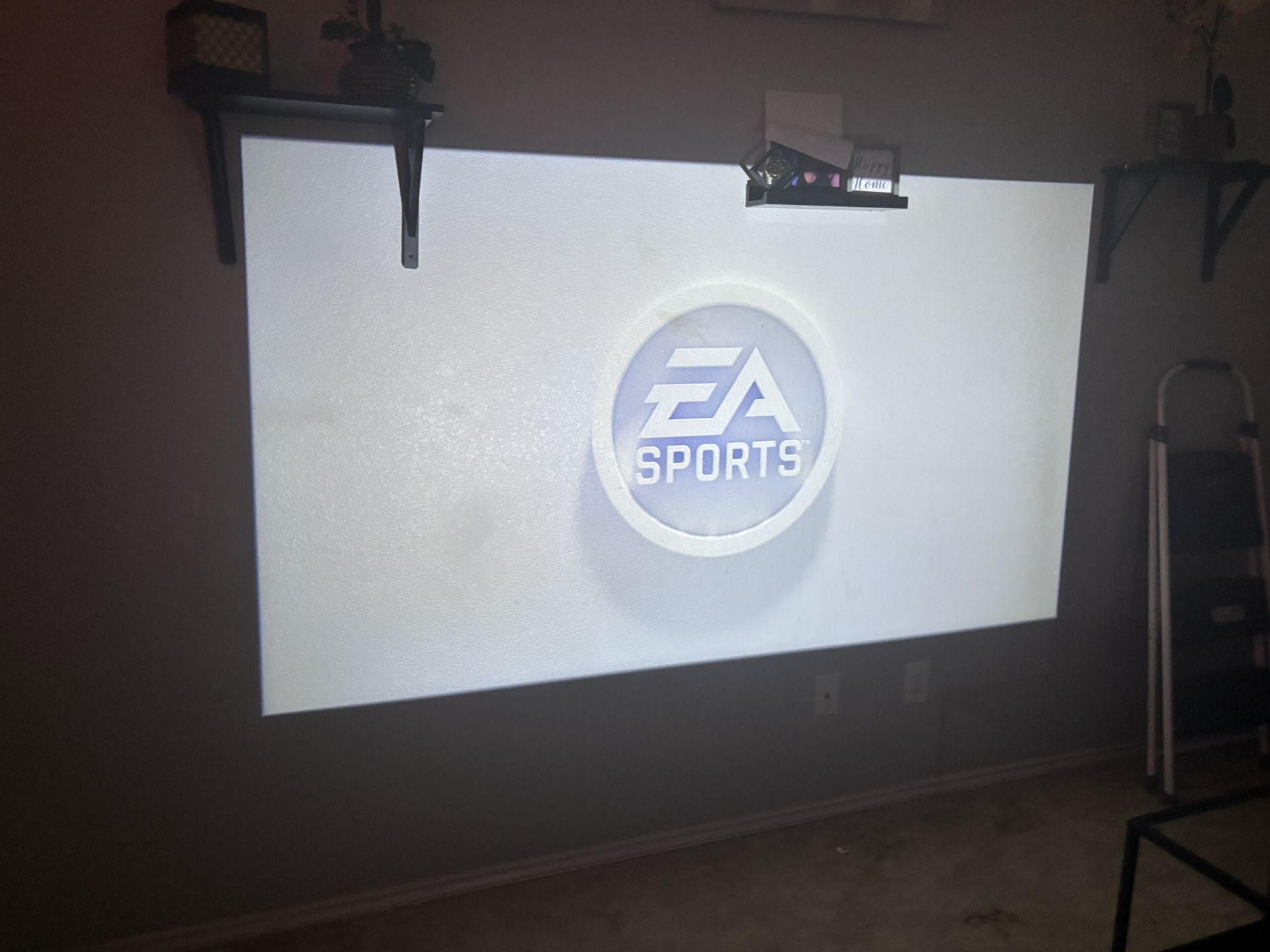 Ps5/2 Controllers/4 Games / Projector