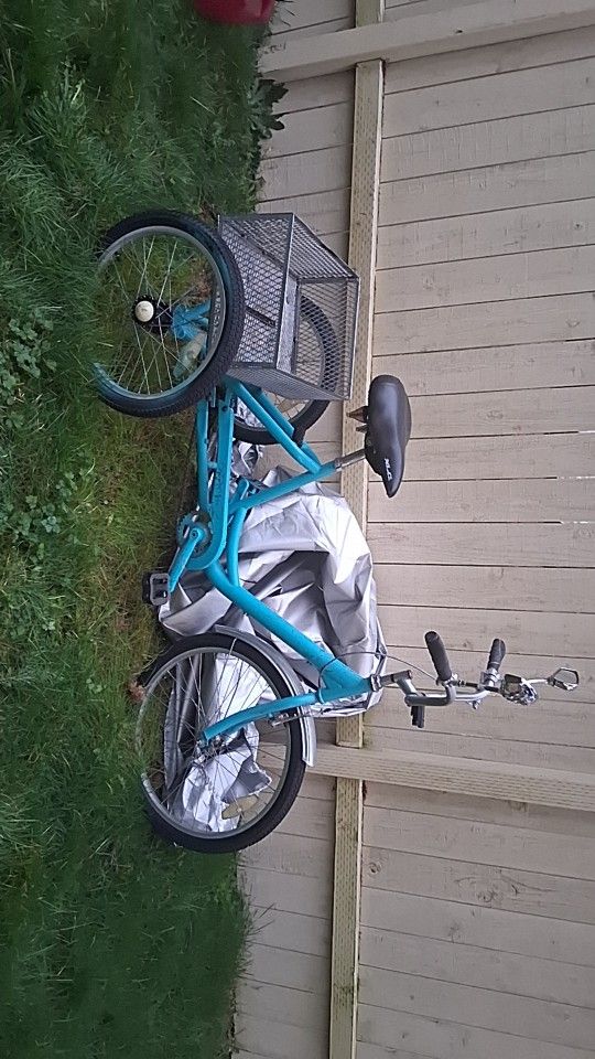 Trike Bicycle
