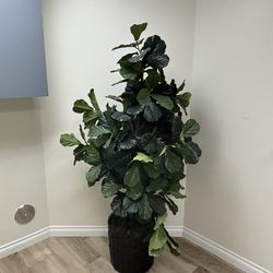 Artificial Plant
