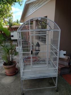Bird Cage