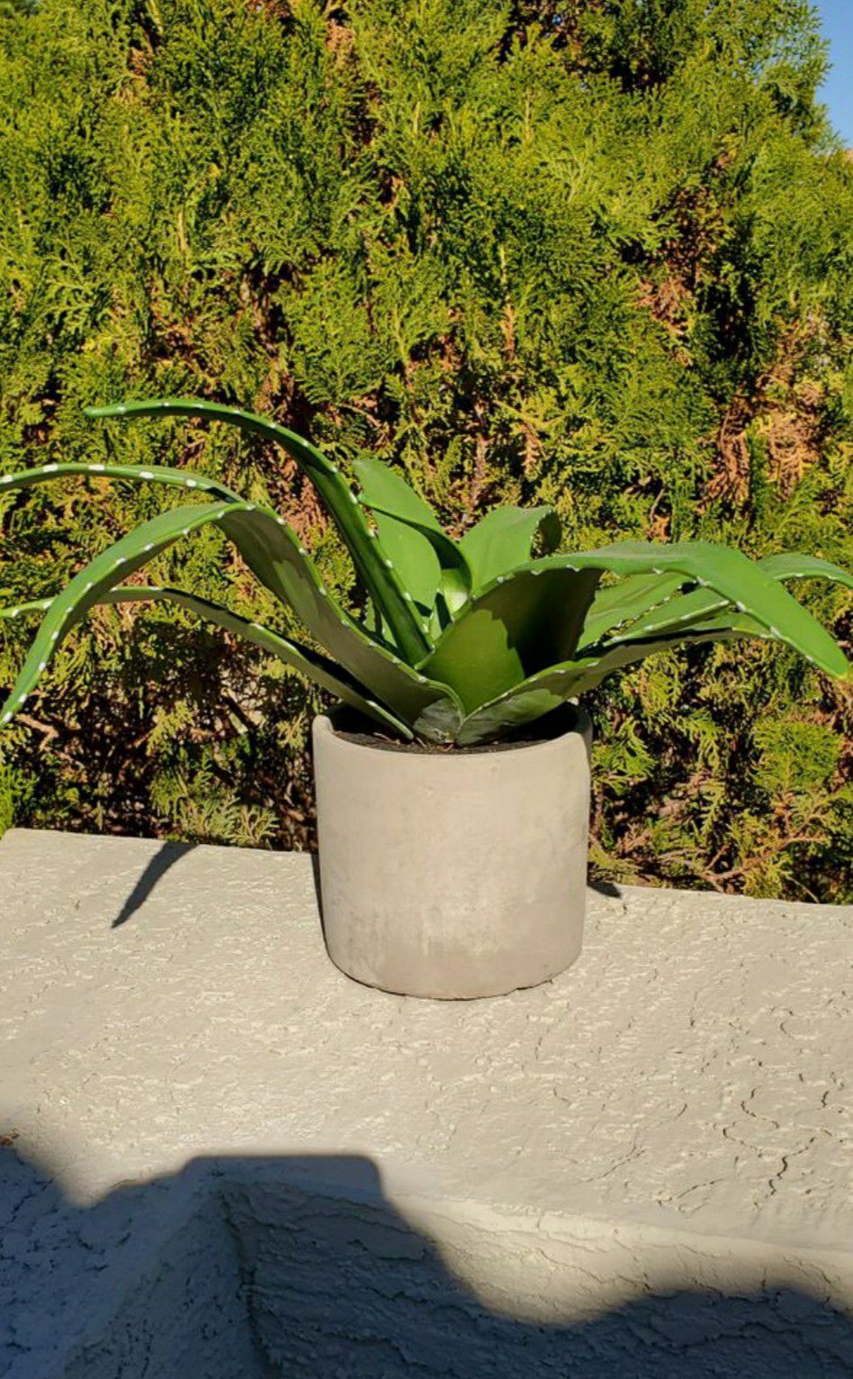 Artificial Aloe Plant