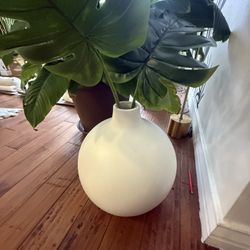 West Elm Oversized Pure White Ceramic Collection