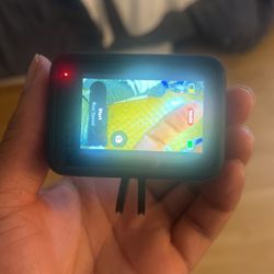 Go Pro