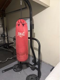 Punching bag