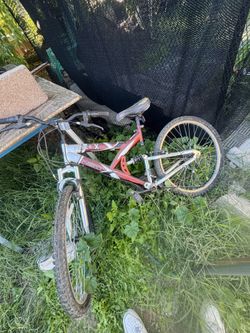 bike $25
