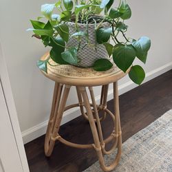 Boho Decorative Table And Plant