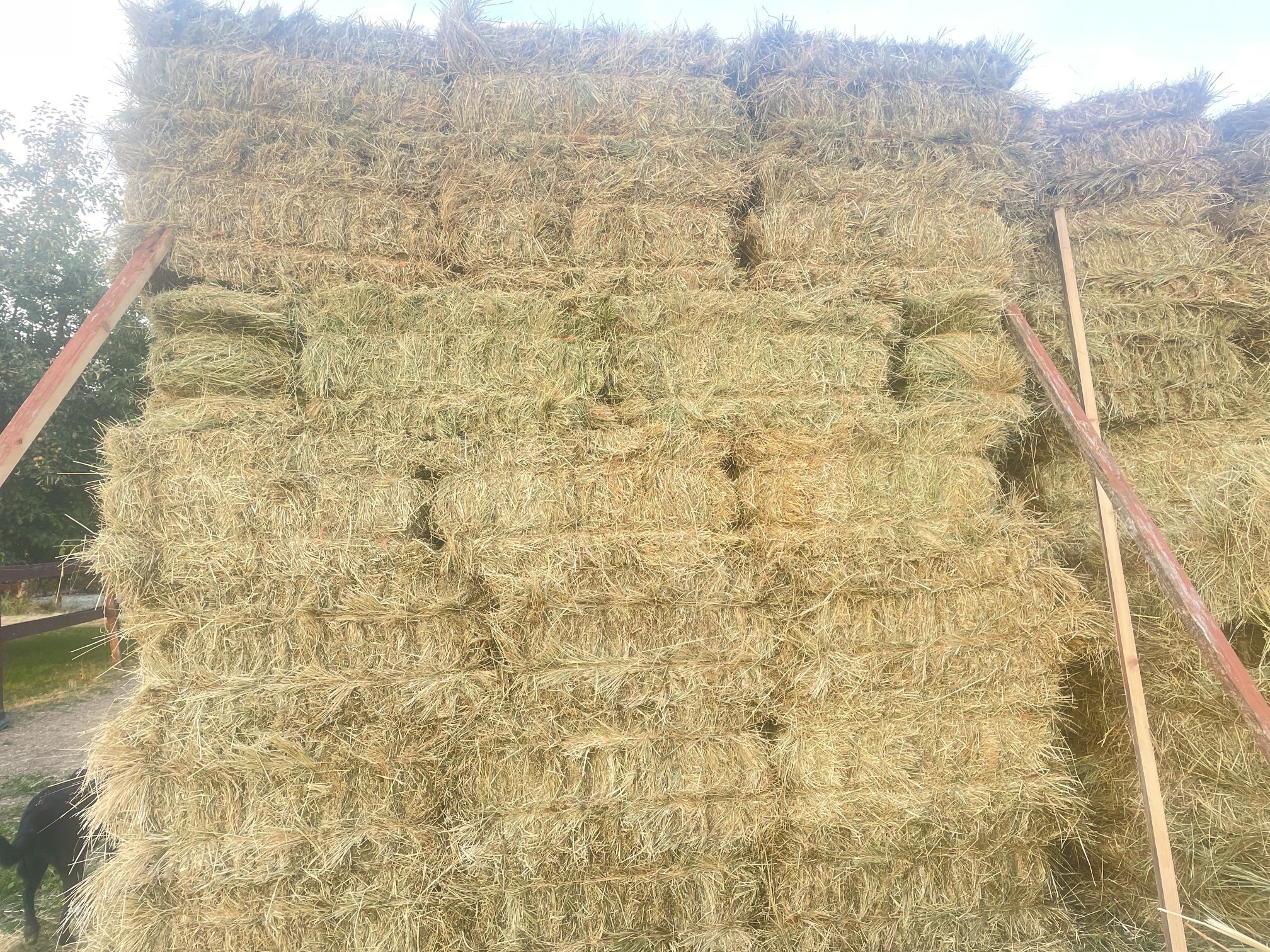 Local Hay For Sale
