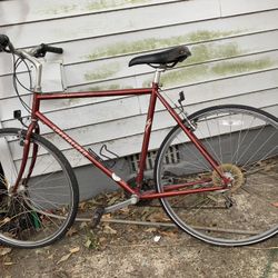 Bicycle  USA 