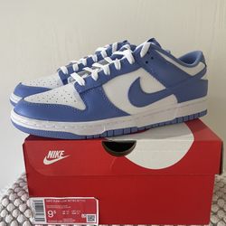 Nike Dunk Low Polar Blue Size 9.5