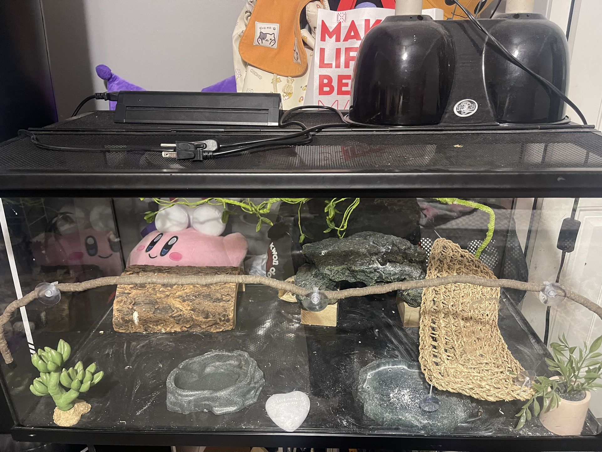 40 Gallon Tank With Lamps