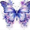 Suhail