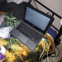 Dell Chrome Book 3100 