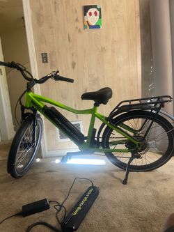 Heavy duty electric bike