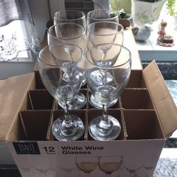 SALT 12 Piece White Wine Glasses 10oz 