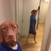 Jaxerz_9