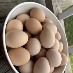 Fresh Farm Organic and CHICKS for sale