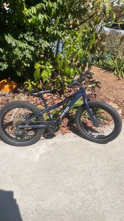 20’ Rei Coop mountain bike