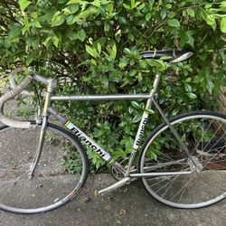 Italian Classic Single Speed/Fixed Gear Bicycle 