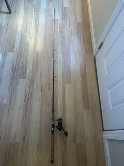 Fishing Rod And Reel