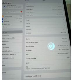 iPad pro 13 inch M4