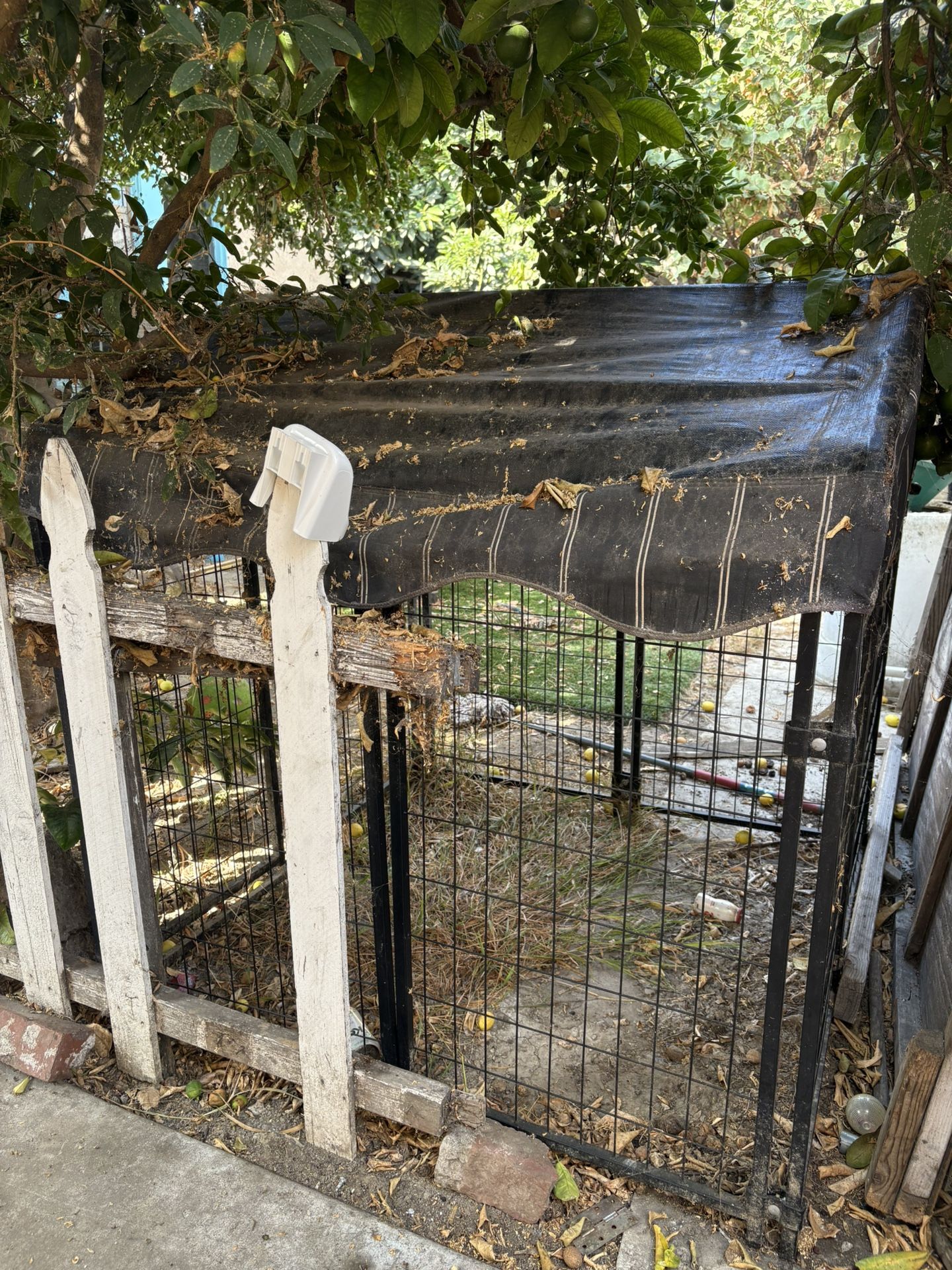 Xl Dog Cage 