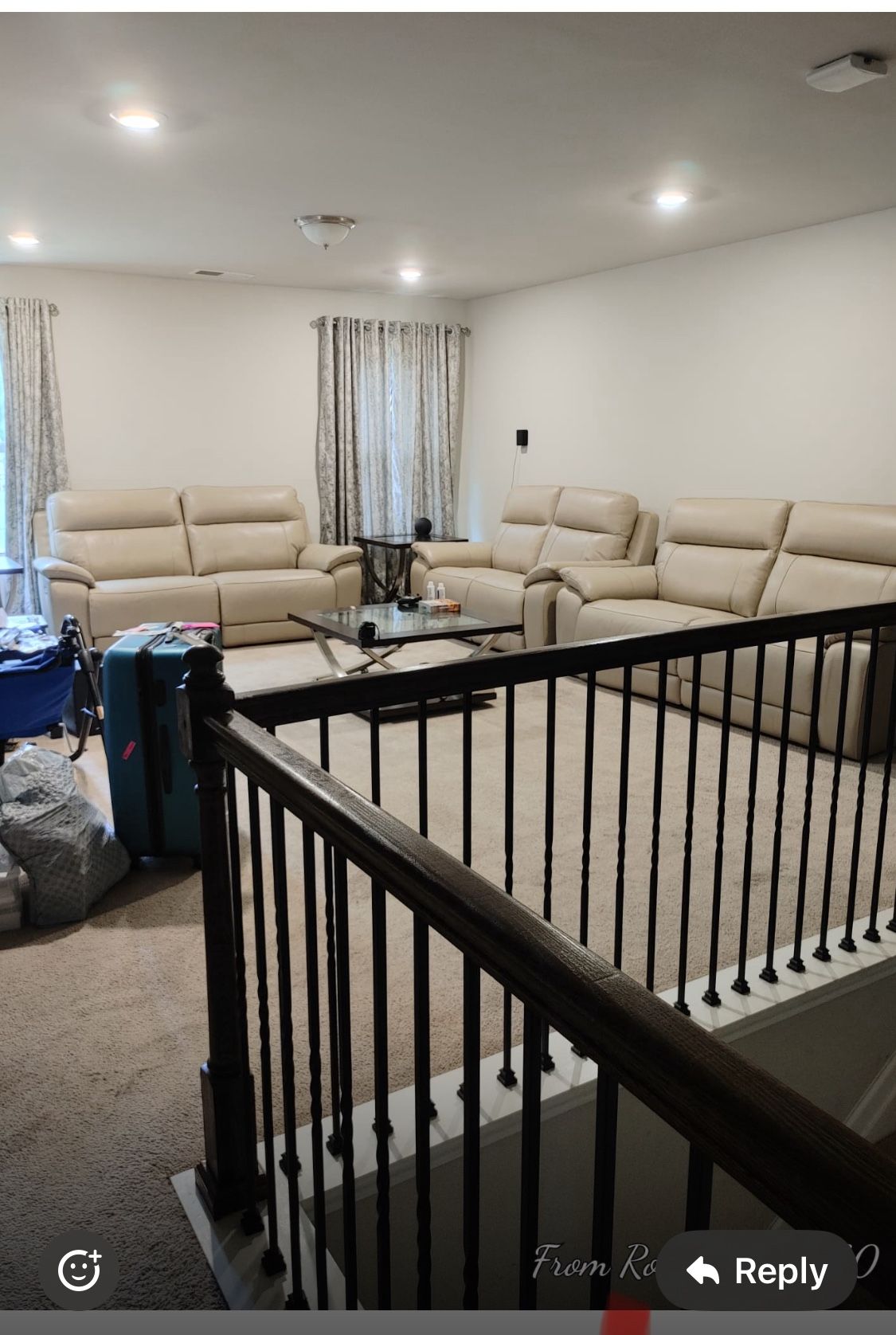 Two Couches And A Love Sit