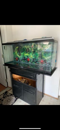 55 Gallon Tank Aquarium Set