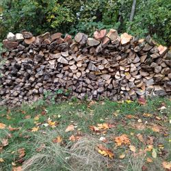  Cord  Firewood 