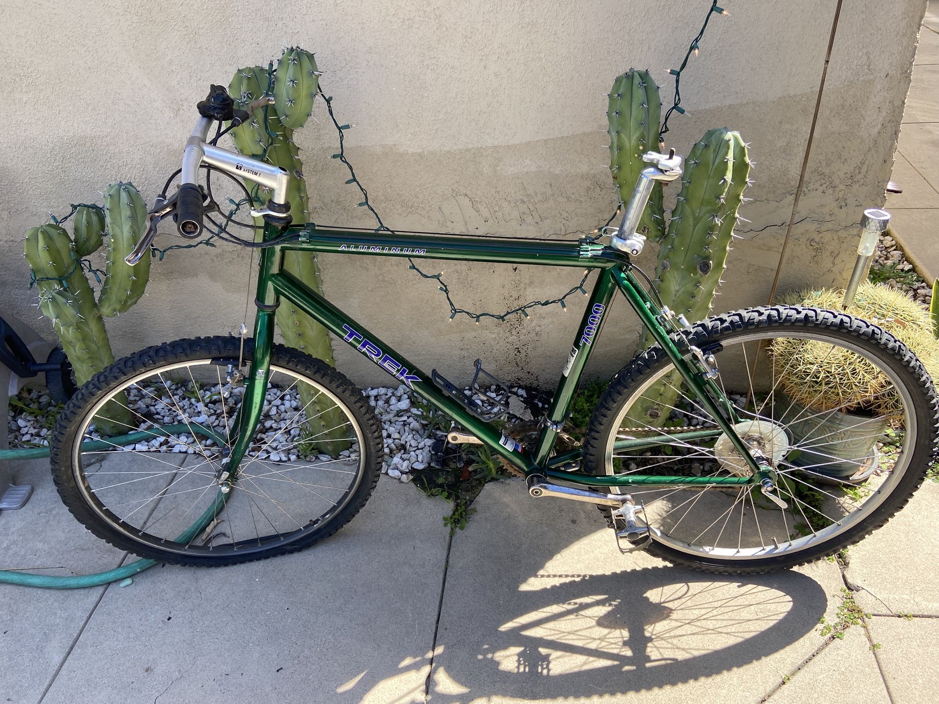 Trek Bike
