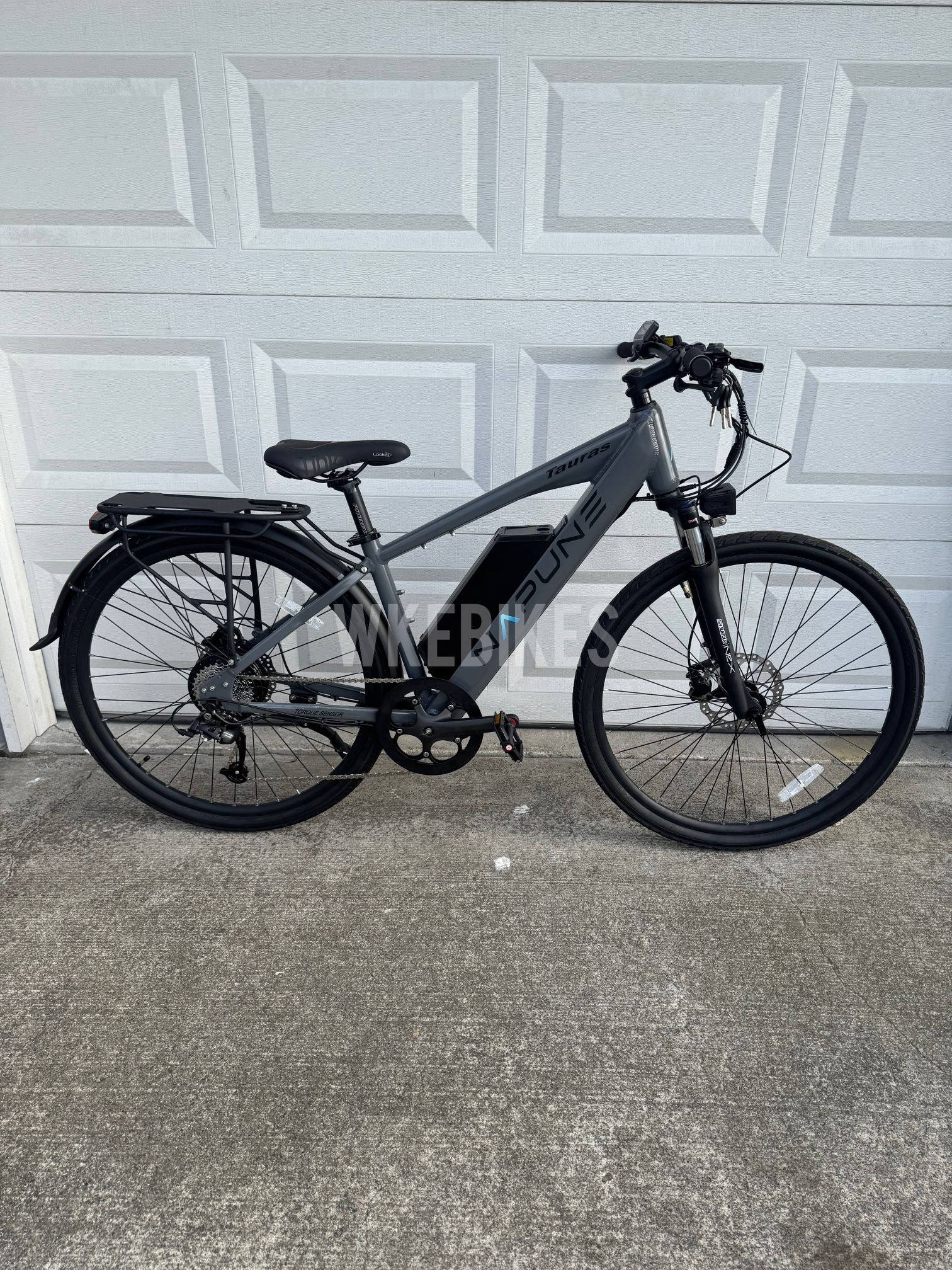 Napune Tauras Electric Bike