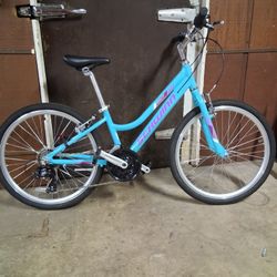 Schwinn Episode 21 Speed Mountain Bike 