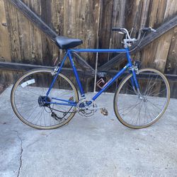 Schwinn Bicycle Bike