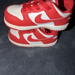 Nike Dunks Red anda Nike Panda